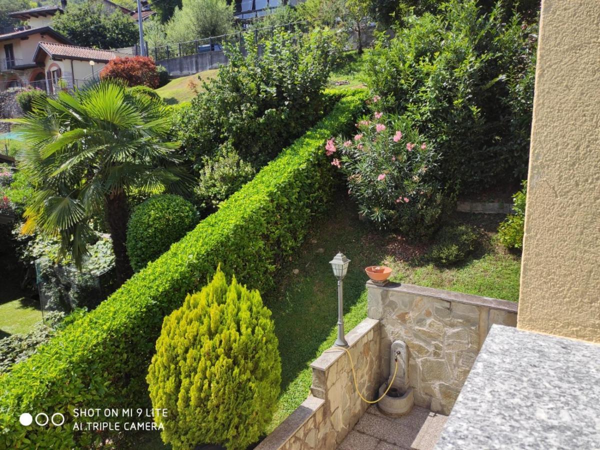 Casa Vacanza Il Glicine Casale Corte Cerro Dış mekan fotoğraf