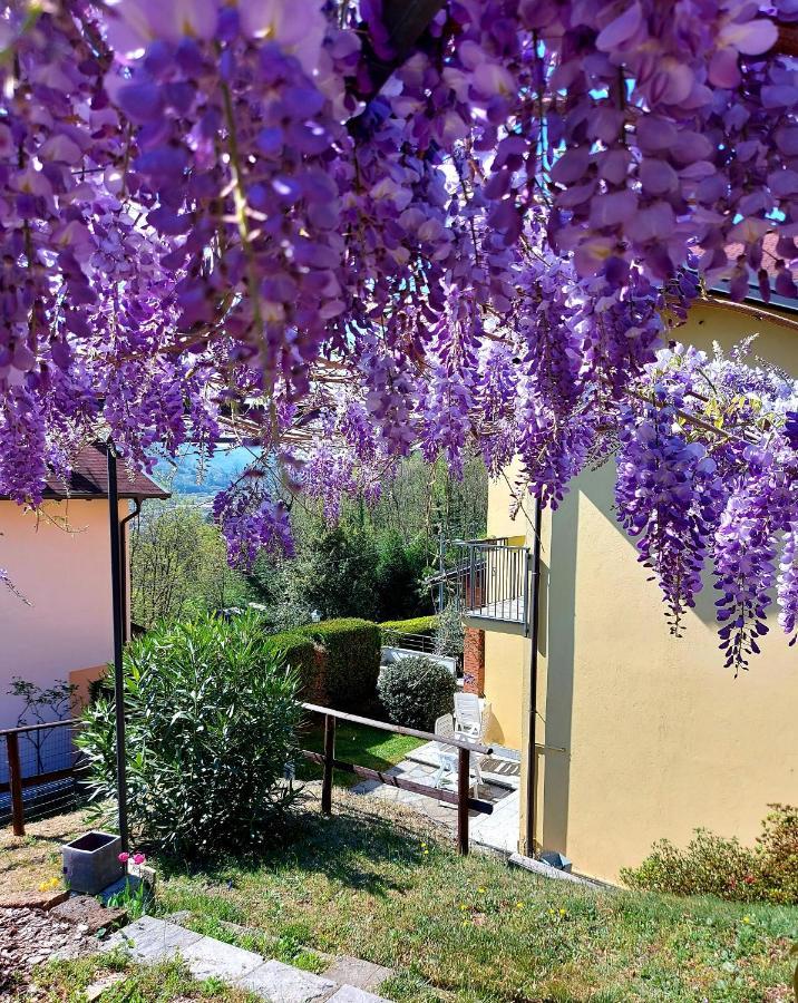 Casa Vacanza Il Glicine Casale Corte Cerro Dış mekan fotoğraf